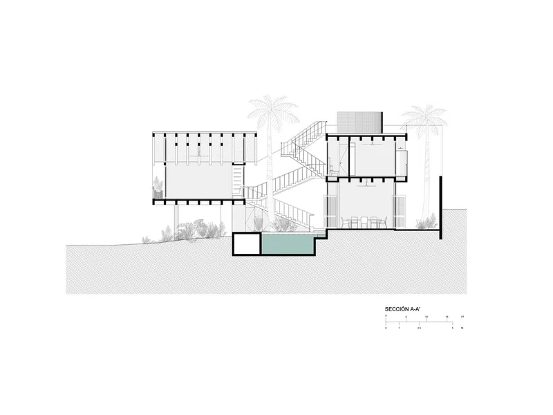 Section drawing revealing staggered volumes connected by outdoor stairs with palm trees and a pool below