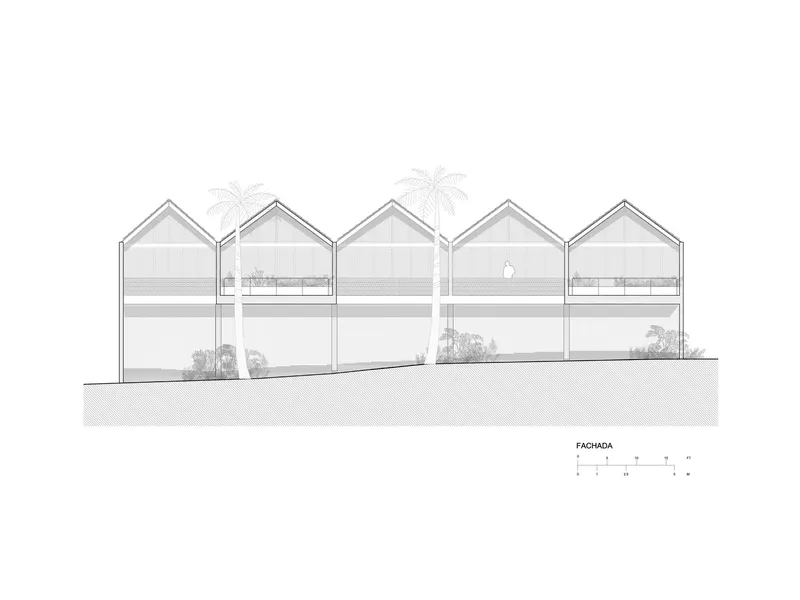 Elevation drawing of five gabled units with palm trees emerging from rooftop terraces