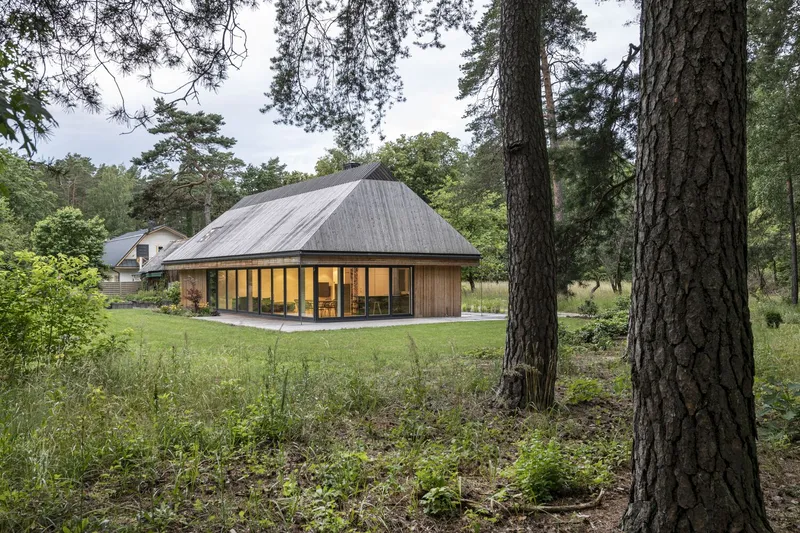Timber clad pavilion with curved metal roof among mature pine trees in a woodland clearing