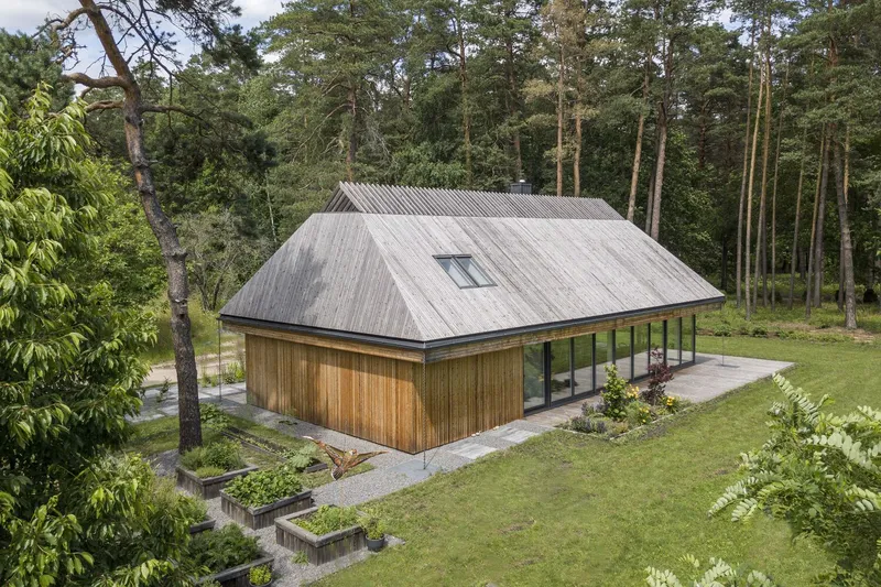 Timber-clad volume with corrugated metal gable roof set among planted beds in a forest clearing