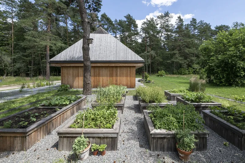 Raised timber garden beds with vegetables and herbs on gravel paths facing the vertical wood siding