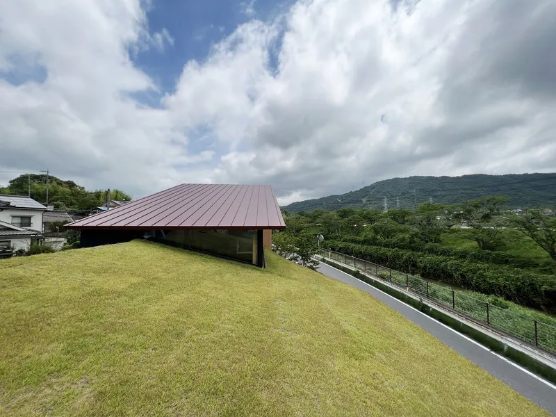 Grass-covered roof plane extending toward forested hills with a metal standing seam roof above