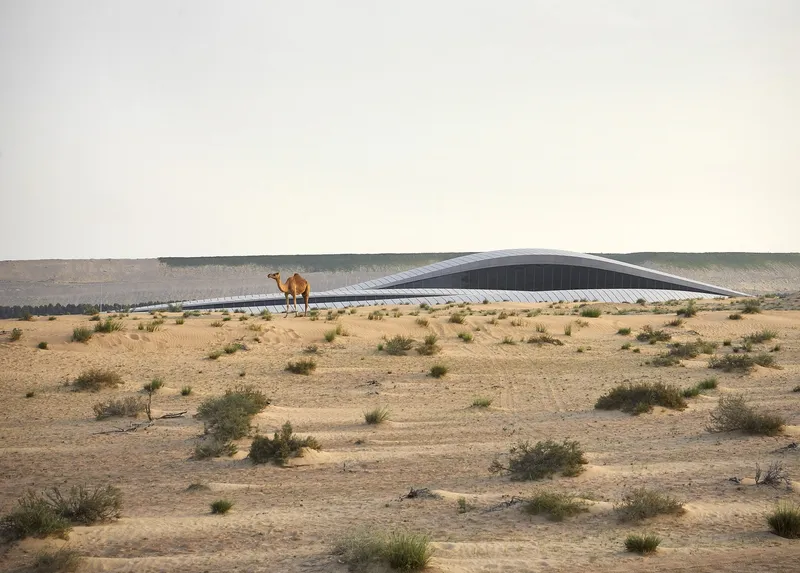 Streamlined roof profile seen across sparse desert vegetation with a camel in the foreground