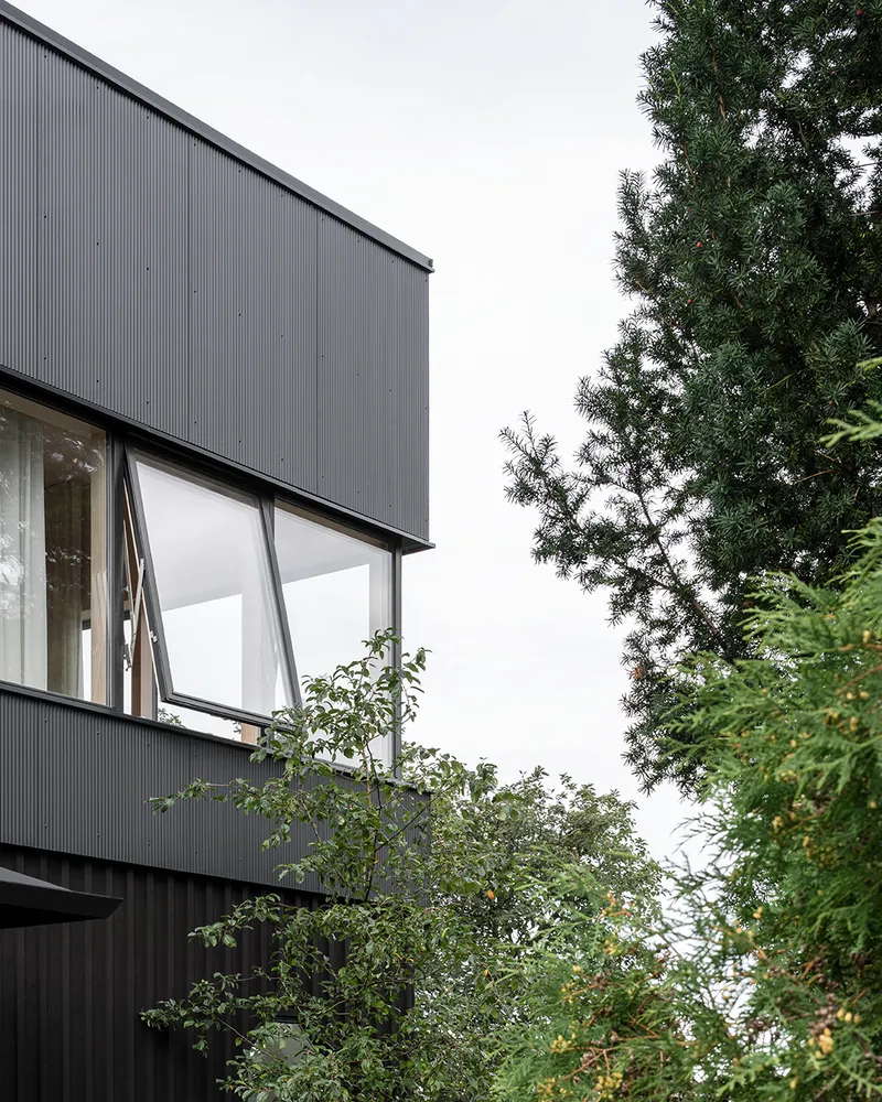 Upper level with angled window openings in dark corrugated cladding framed by evergreen trees