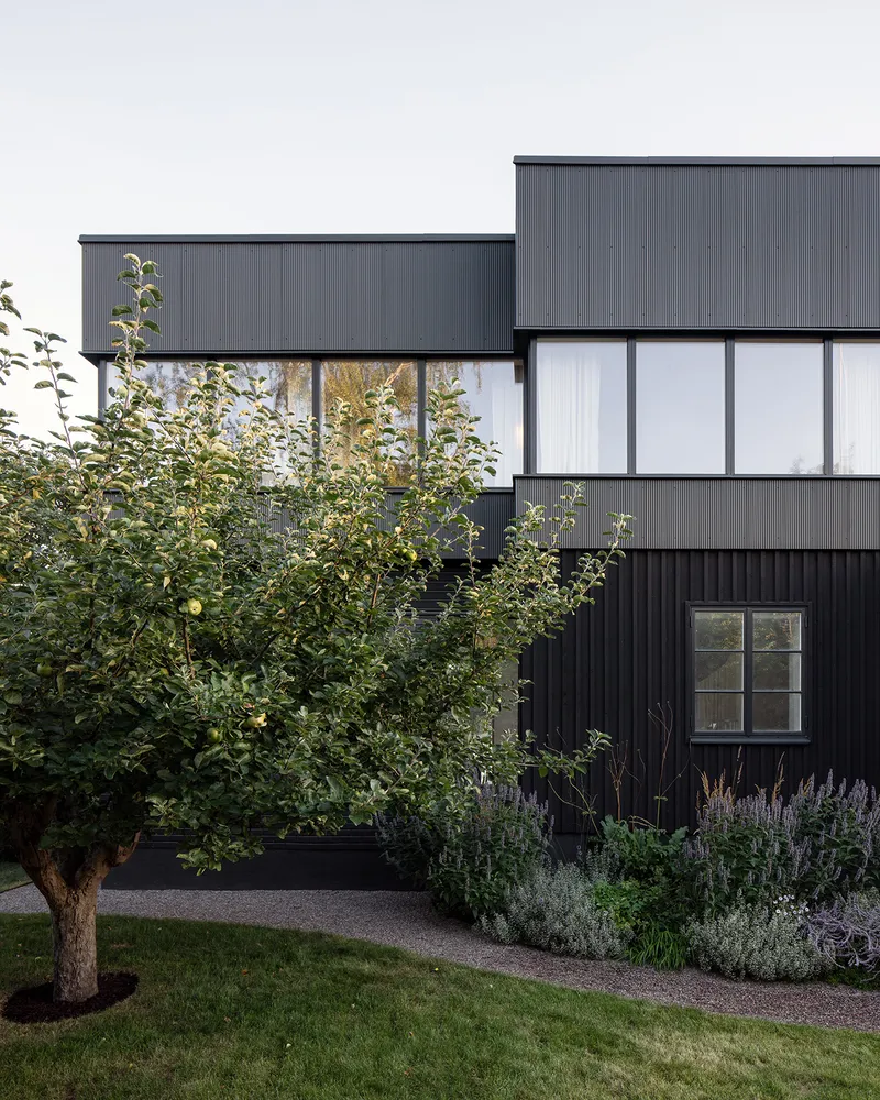 Exterior facade with dark corrugated metal cladding and ribbon windows behind a garden with lawn and apple tree