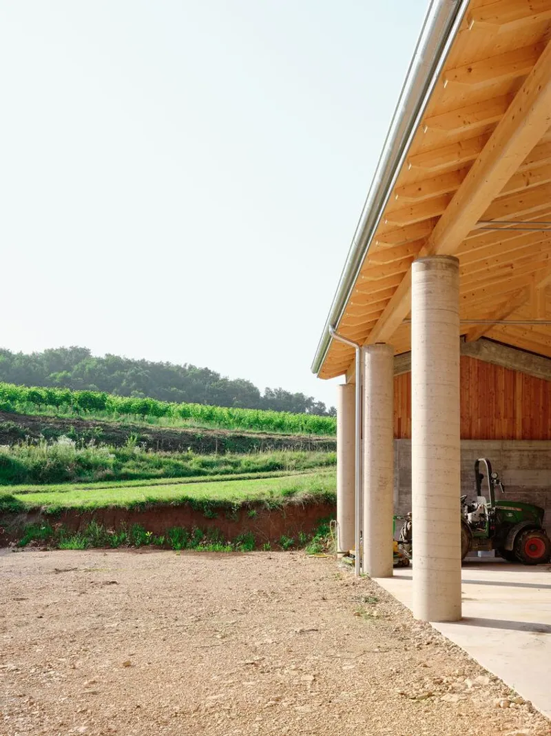 Covered timber structure with exposed rafters and concrete columns facing a vineyard on sloping terrain