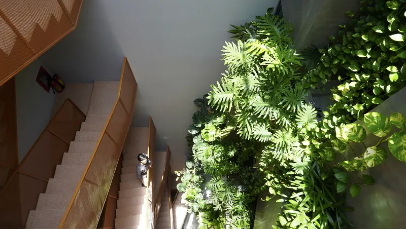 Top-down view of the timber staircase with metal mesh balustrade beside a planted atrium lit by dappled sunlight