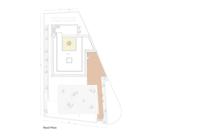 Roof plan drawing showing a partial terrace on the angled site boundary