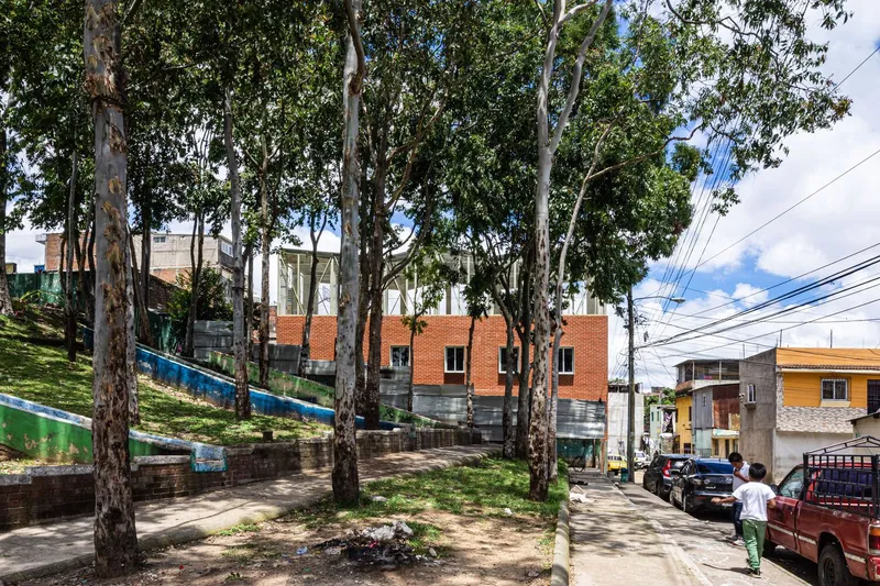 Street view of the three-story volume rising among eucalyptus trees on a sloped neighborhood street with parked vehicles