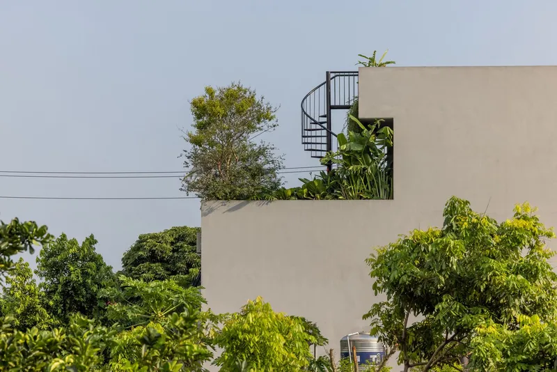 Rooftop terrace with spiral stair and planted beds emerging above the cream parapet wall