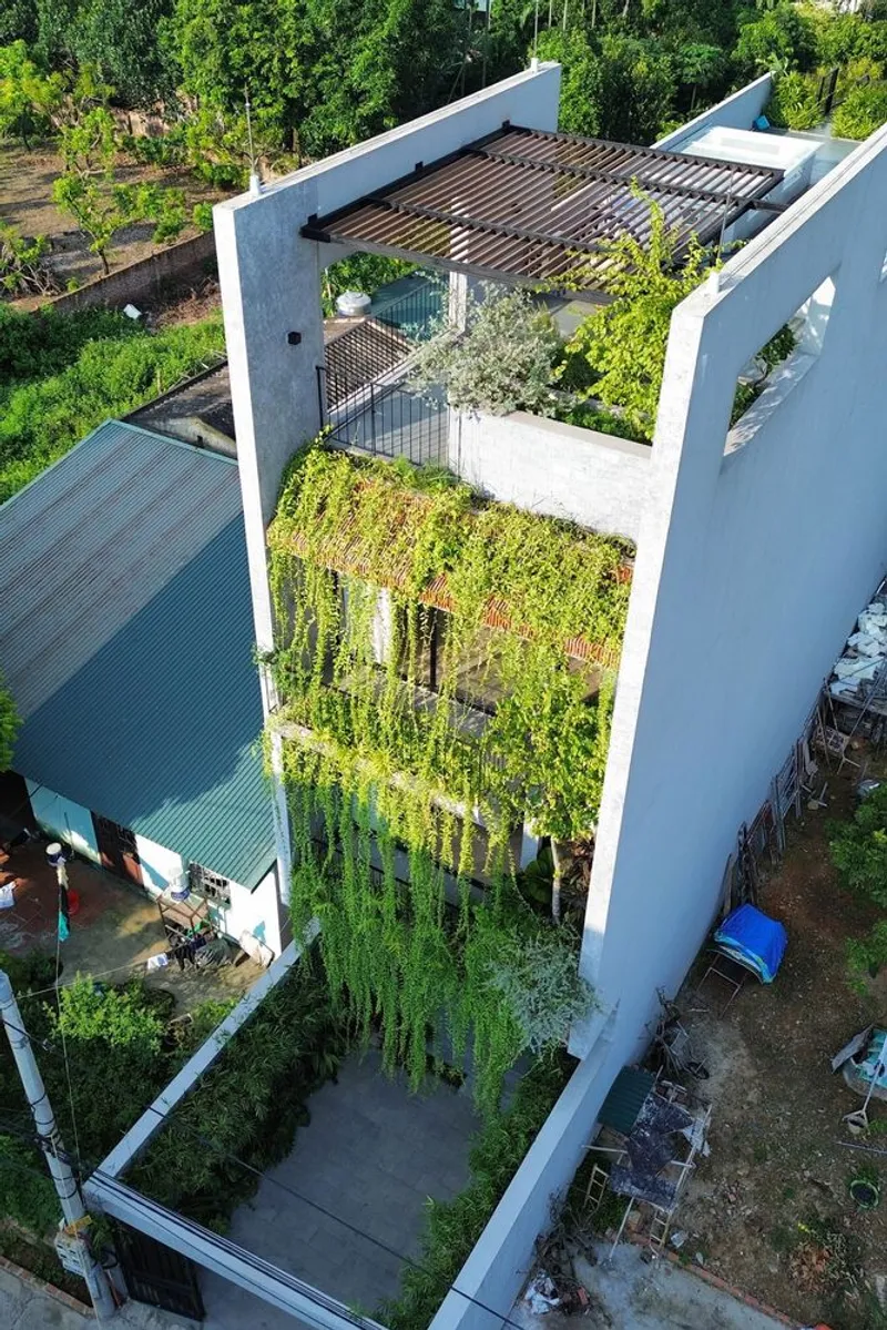 Aerial view of the roof terrace with timber pergola, planted walls and vegetation spilling down the facade