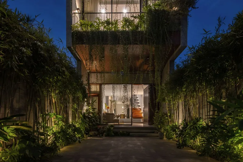 Night view of glazed facade with cantilevered planted balcony above entry flanked by illuminated bamboo groves