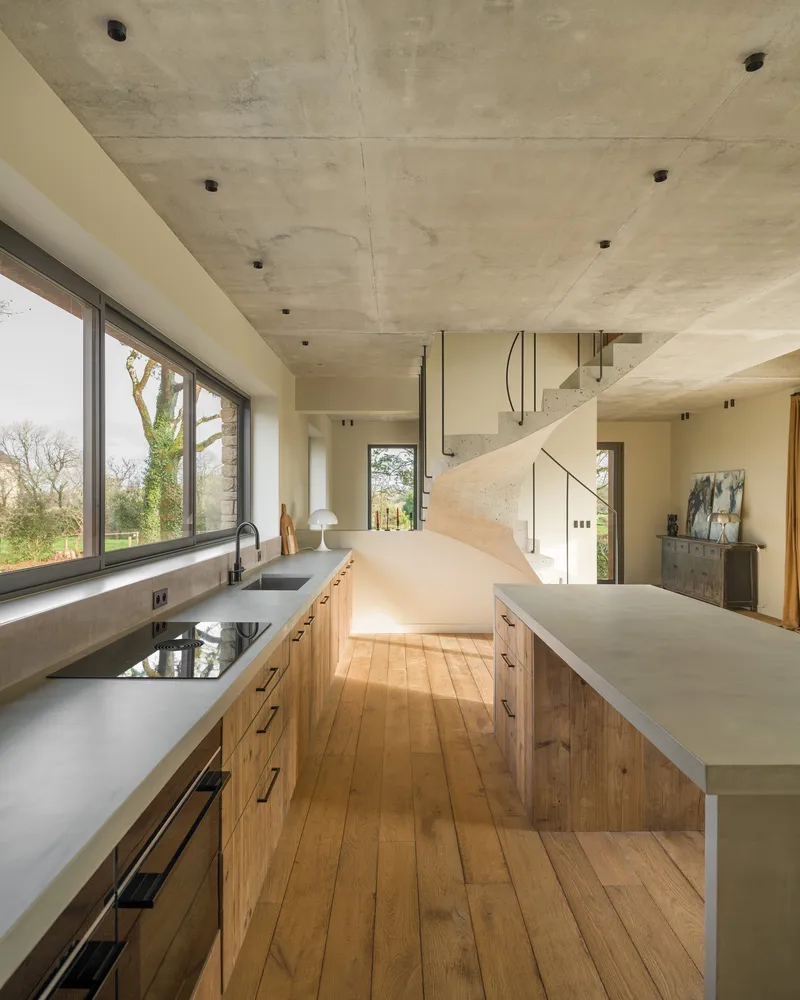 Open kitchen with exposed concrete ceiling, timber cabinetry and curved plaster stair volume in daylight