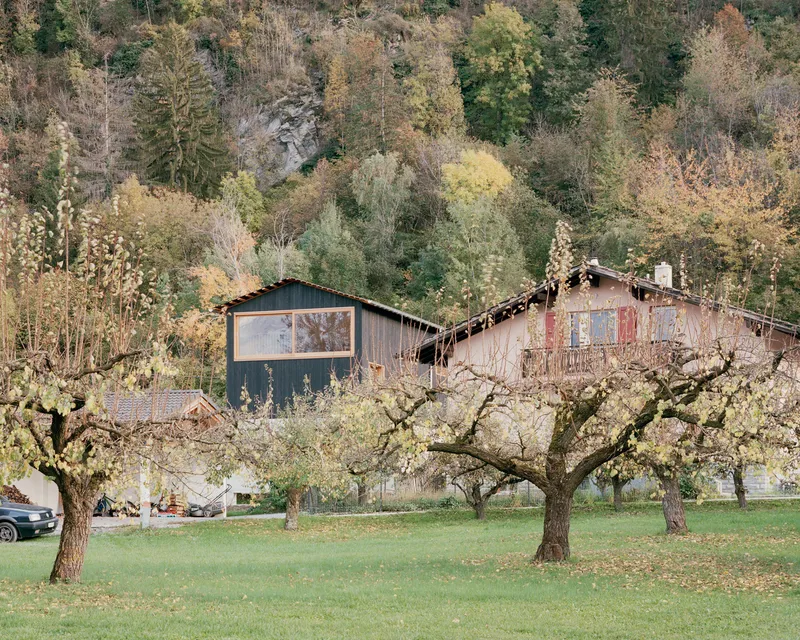 View of the timber-clad volume on a hillside among bare fruit trees and deciduous forest