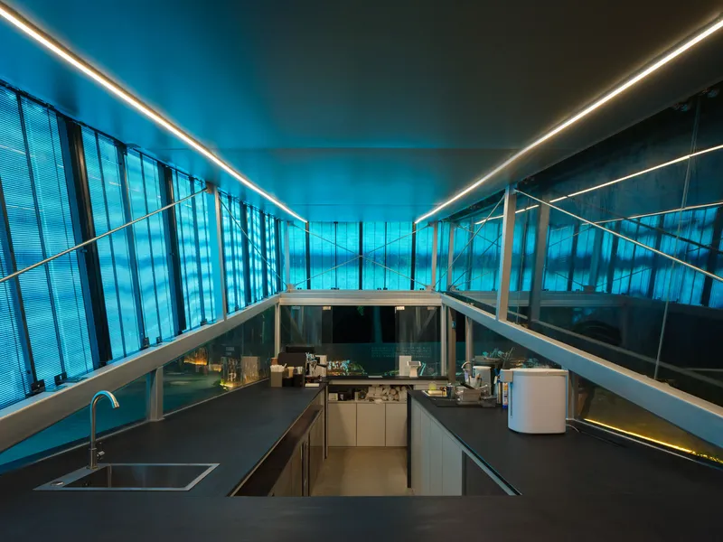 Interior view of the tilted serving counter with blue-lit mesh walls and linear ceiling lighting