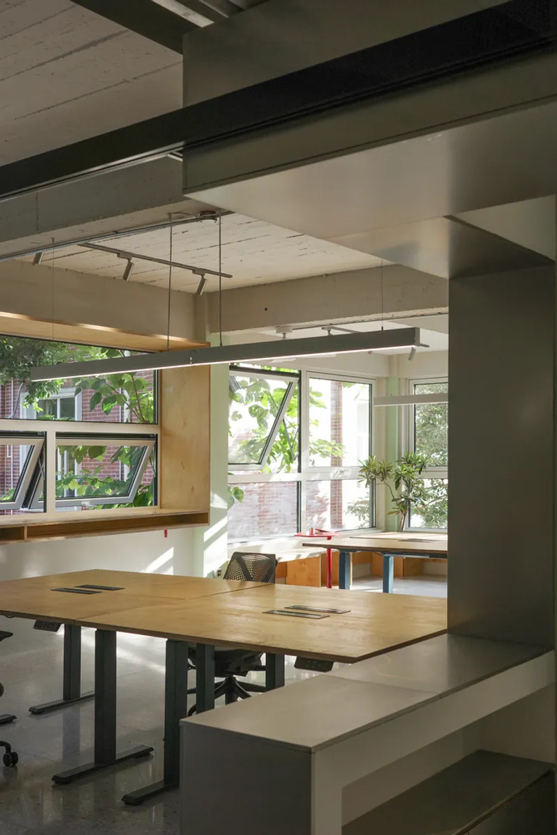 Workstation beside a window with morning light filtering through foliage outside