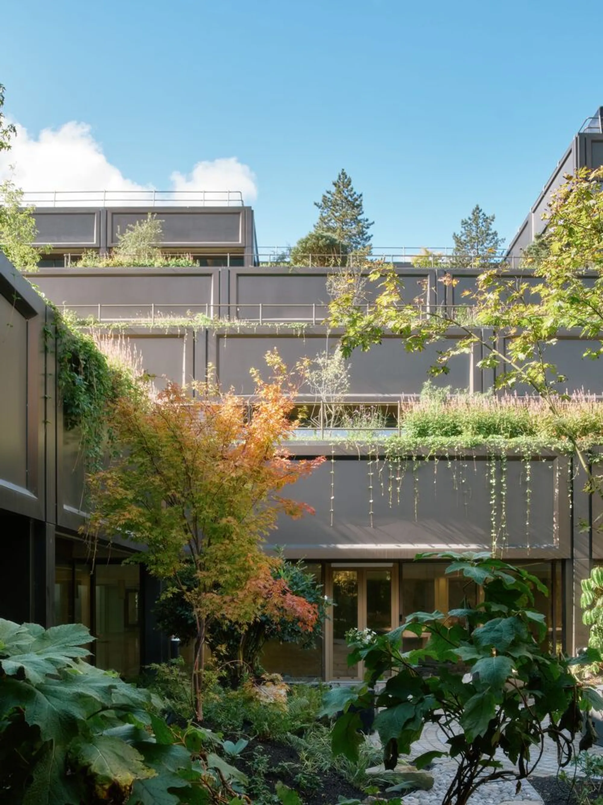 Four Studios Resurrect Basingstoke's Hanging Gardens and Turn a 1970s Icon into a Biophilic Workplace