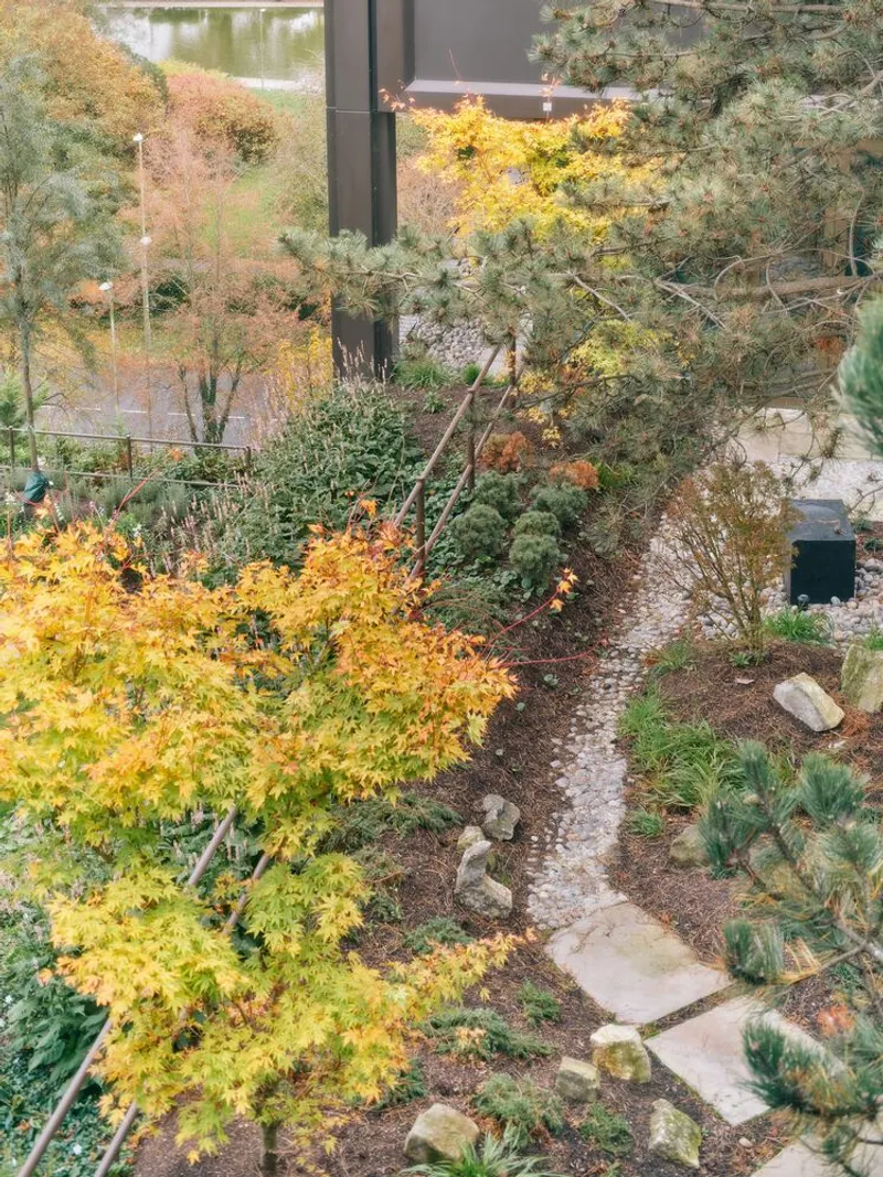 Stone paver path through planted beds with golden autumn foliage and evergreen shrubs