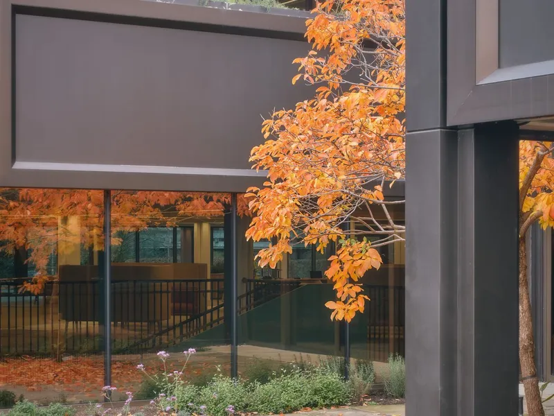 Grey metal panel facade with full-height glazing and deciduous tree branches in autumn colour