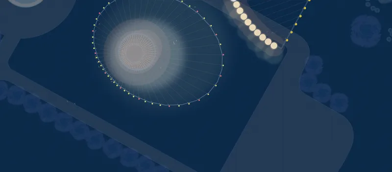 Site plan drawing showing a circular pavilion with radiating structural elements and perimeter lighting