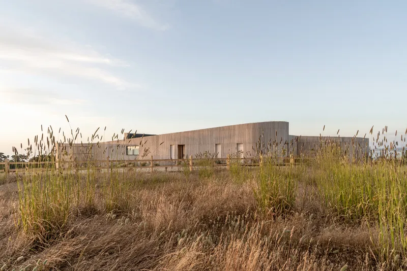 Vertical timber facade with rectangular window openings framed by tall golden grasses in evening light