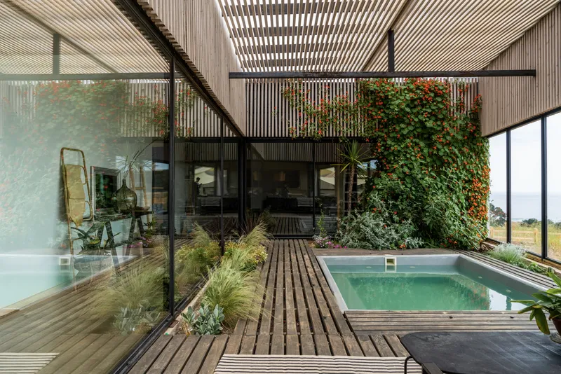 Courtyard with timber deck, pool, planted wall with climbing vines, and slatted pergola overhead