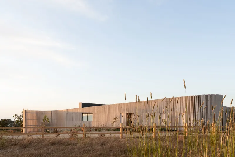 Vertical timber slatted facade with punched windows at golden hour among wild grasses