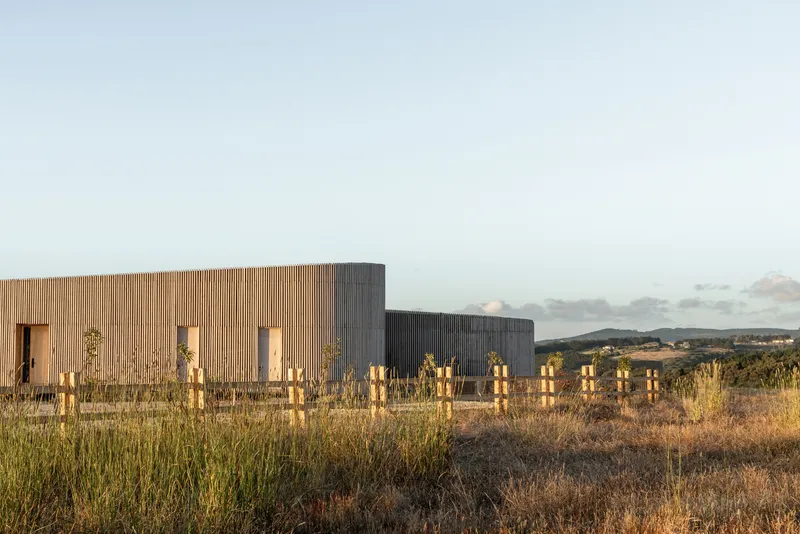 Stepped timber volumes with vertical cladding behind a row of young trees at sunset