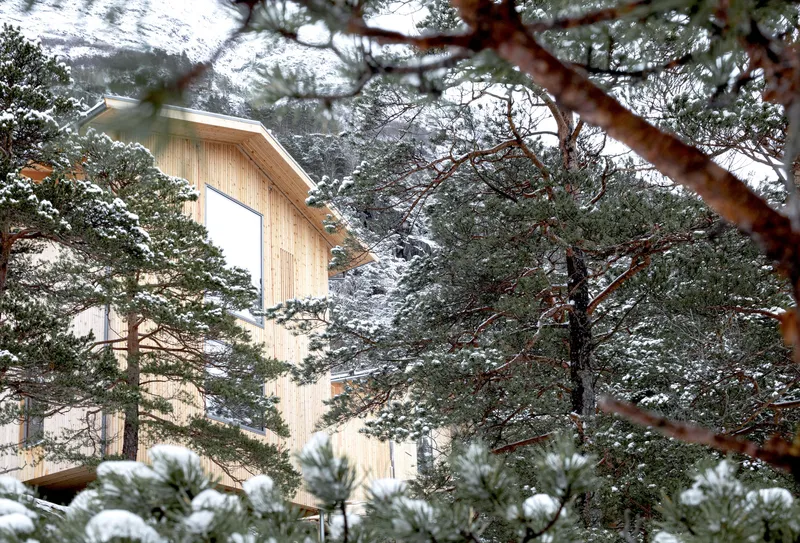 Timber-clad volume rising among snow-dusted pine branches in a mountain landscape