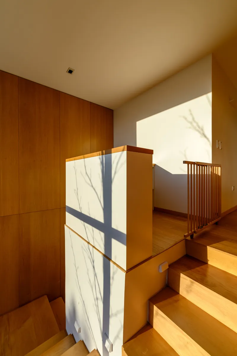 Interior staircase with wood treads and white walls lit by afternoon sun casting branch shadows