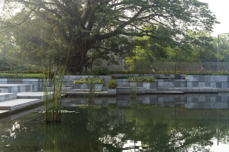 Water feature with planted grasses and chequered stone wall beneath a spreading tree canopy at sunrise