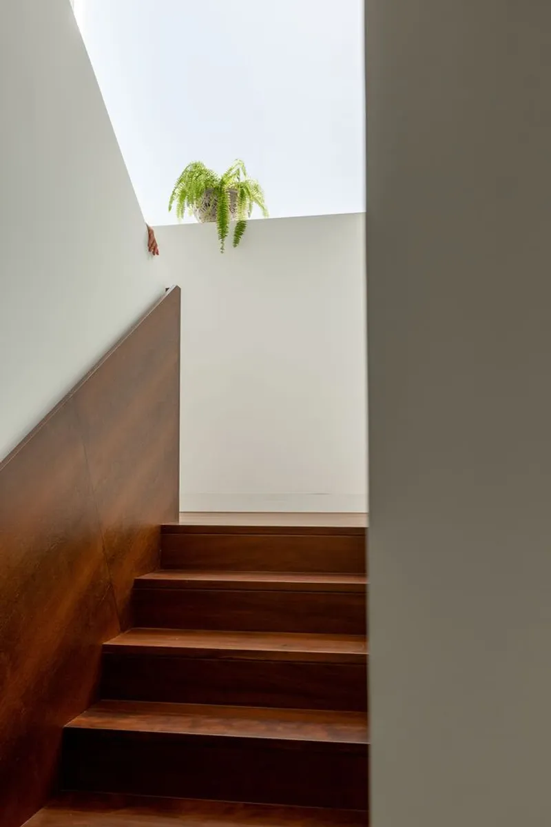 Timber staircase with dark wood treads and wall panel ascending toward a skylight with trailing plant