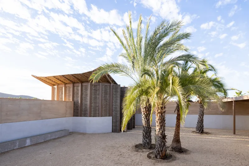 Courtyard entry with woven timber screen walls and curved canopy beside palm trees in sand