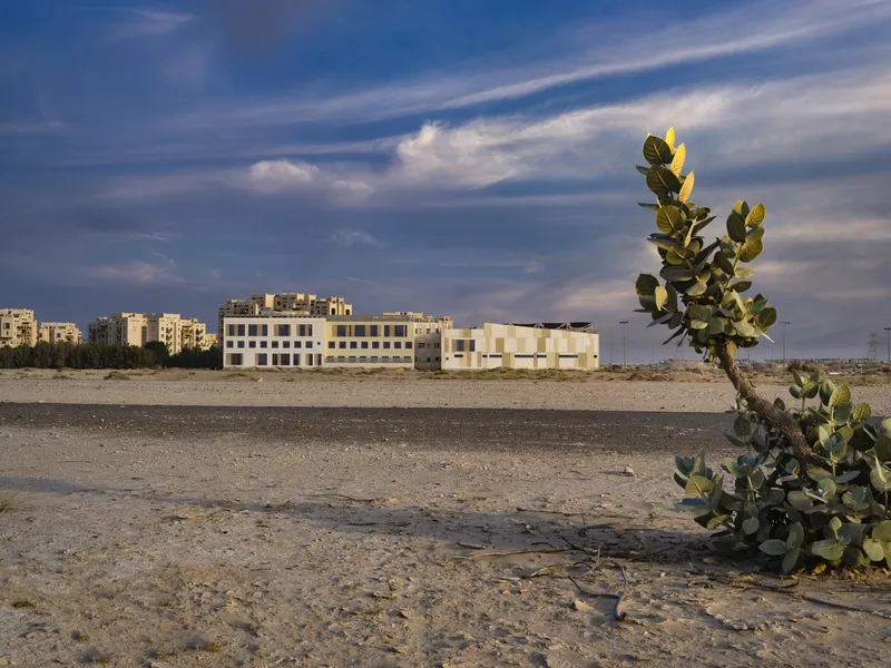 Distant view of the horizontal building complex across desert terrain with cactus in foreground