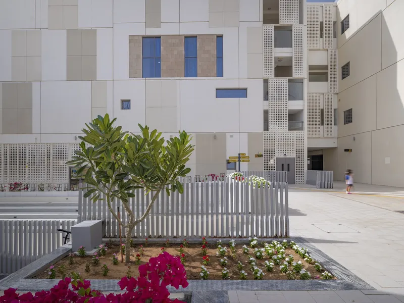 Planted bed with flowering bougainvillea and young tree against white paneled facade with perforated screens