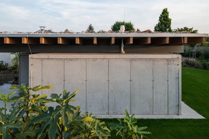 Board-formed concrete walls below exposed timber joists at dusk with foliage in the foreground