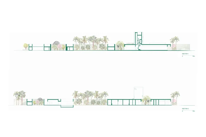 Section drawings revealing low-lying horizontal volumes with tall palms and varied vegetation throughout