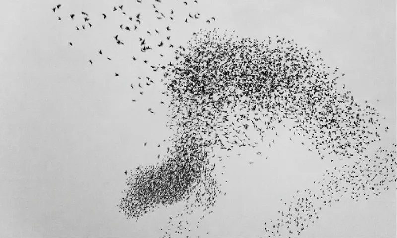 Swarm of small flying drones forming a shifting cloud formation against a grey sky