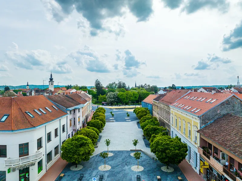 Elevated view of linear plaza bordered by trimmed hedges and historic buildings under cloudy skies
