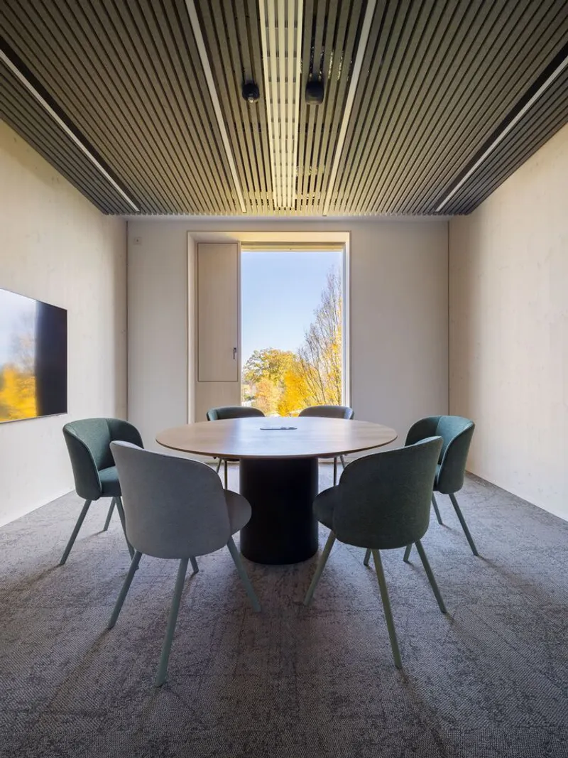 Meeting room with slatted timber ceiling and window framing autumn trees in golden light