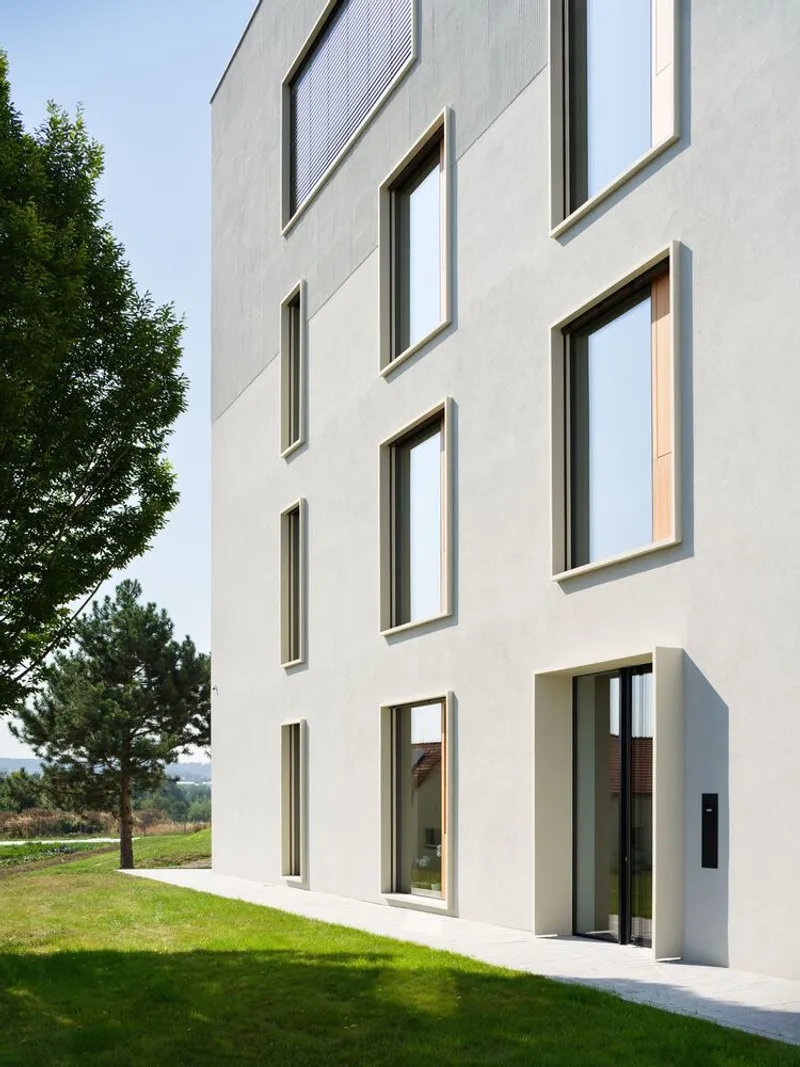 White rendered facade with scattered timber-framed windows next to a young pine tree and lawn