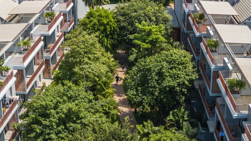 Aerial view of a shared courtyard with mature tree canopy between two rows of residential blocks