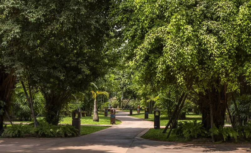 Paved pathway lined with black bollards running beneath a canopy of established trees