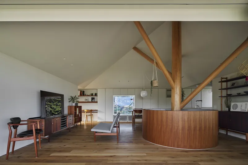 Interior view showing curved walnut partition wall beneath diagonal timber bracing and white ceiling