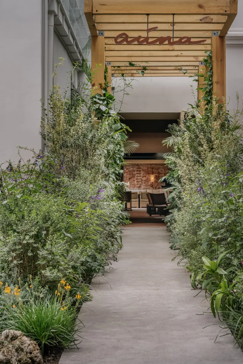 Entrance pathway lined with planted beds and timber pergola leading into the interior dining space
