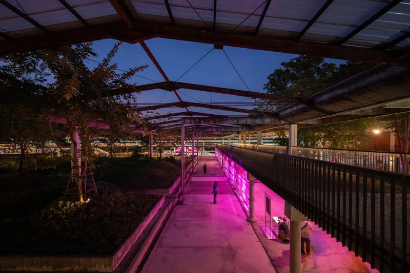 Elevated pathway with glazed canopy and pink LED-lit wall beside planted landscape beds at night