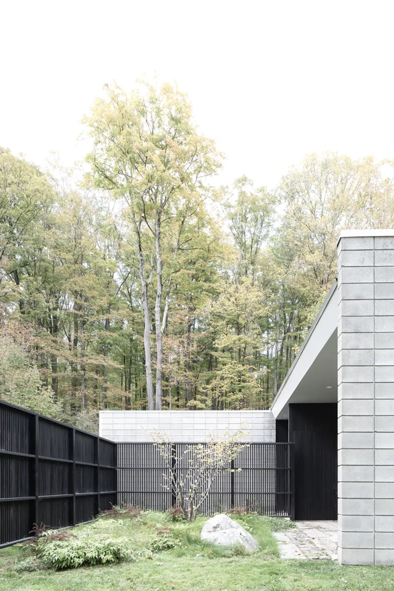 Enclosed courtyard with corrugated black metal fence and pale tiled volumes under a birch canopy