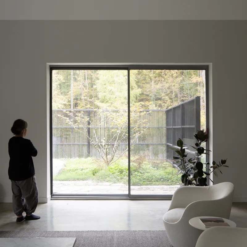 Interior living space with floor-to-ceiling glazing overlooking a vertical wood screen and autumn trees