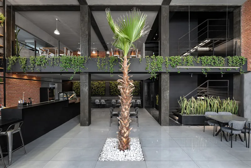Central palm tree in white stone bed beneath the planted mezzanine balcony at dusk