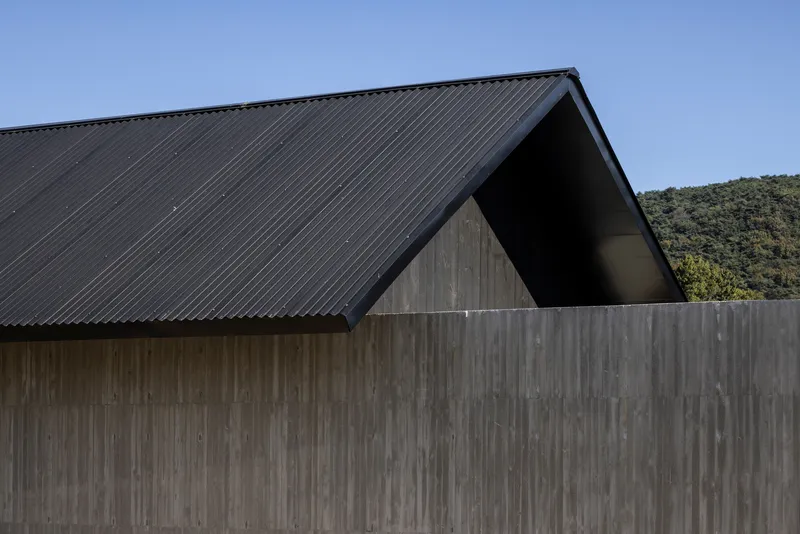 Gabled corrugated metal roof over weathered timber siding with forested hillside beyond under blue sky
